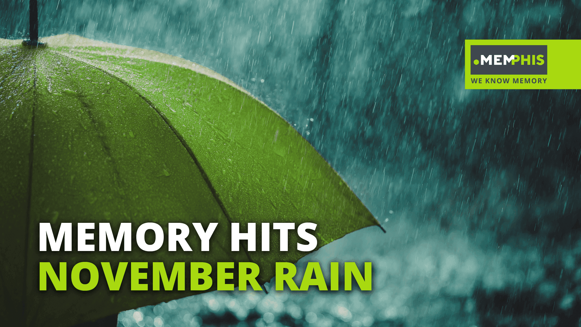 Green umbrella in the gray rain